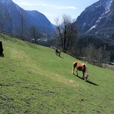 Plattner By Interhome Apartamento Oetz