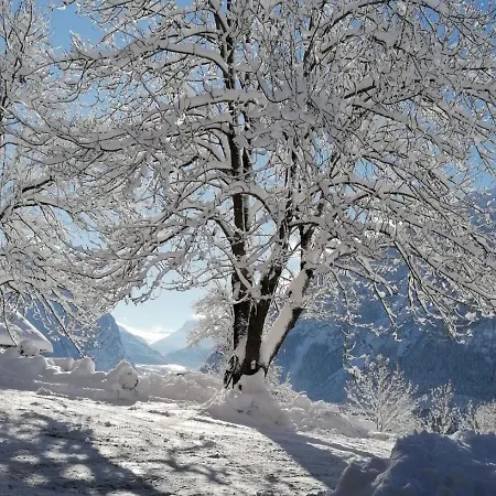 Apartamento Plattner By Interhome *