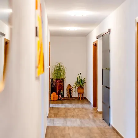 Plattner By Interhome Apartment *