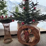 Plattner By Interhome Appartement