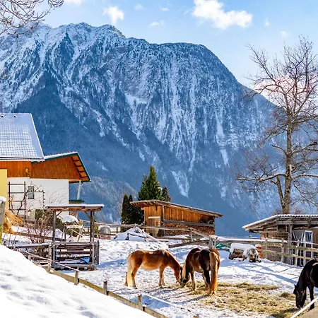 Plattner By Interhome Appartement Oetz