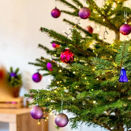 Plattner By Interhome