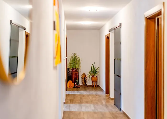 Plattner By Interhome דירה *